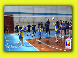 Volley S3 27.04.2025 (33).jpg